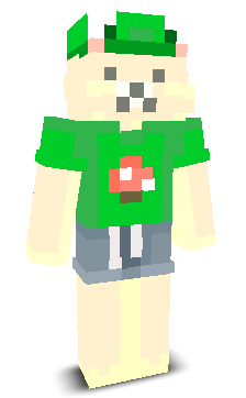 ham111222333's skin