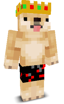 Kaj8's skin