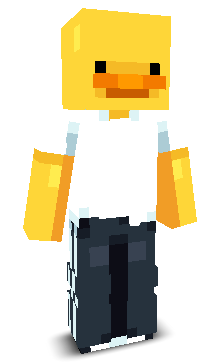 B1CARE's skin