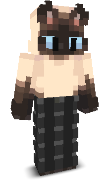 kaksiq's skin