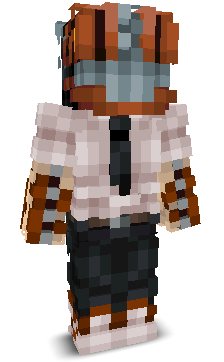 zxszin's skin