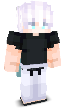 MrRoss's skin
