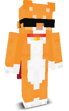 Garfiield's skin