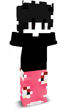 X2TWIN's skin