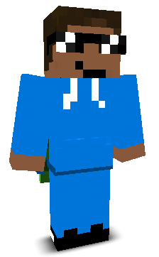 LiocraftHP's skin