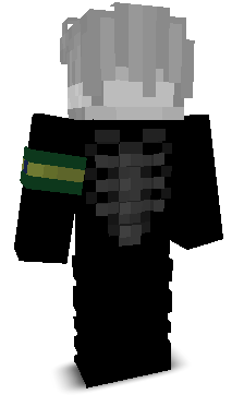 DaviFireFox22's skin