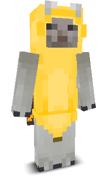 xxyyqwq's skin