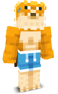 VisyonG2's skin