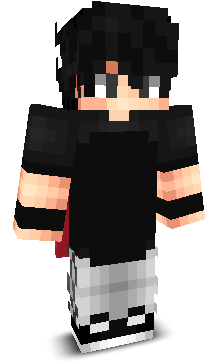 Ishoj's skin