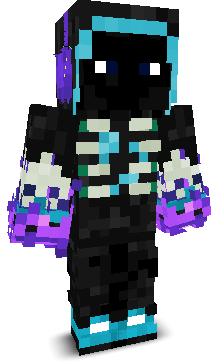 null_rift's skin
