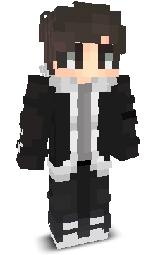 Q11A's skin