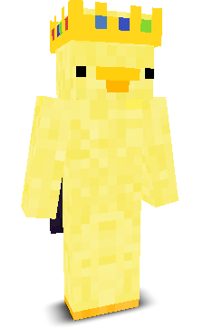 Rapid202's skin