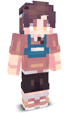 Exensy's skin