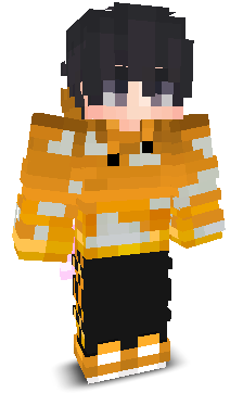 PokeHoliday's skin
