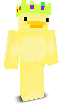 Duuckling's skin