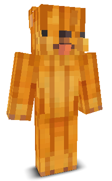 Chikennuggss's skin