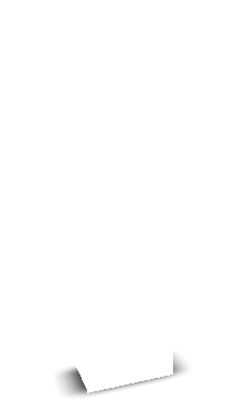 9xfire's skin