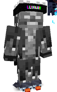 mwdnt's skin