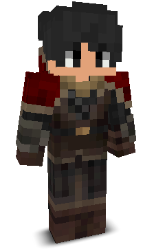 vCasm's skin