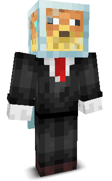 wojtekgeaming's skin
