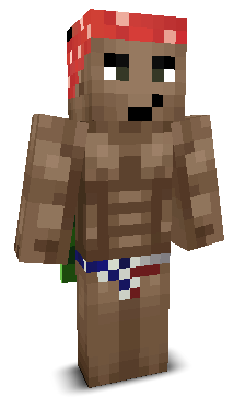 mrbeastpvping's skin