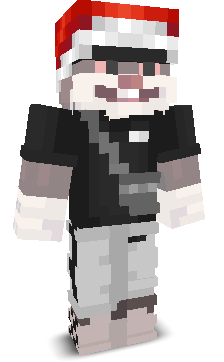 b1rkin's skin