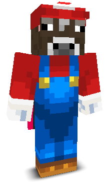 fhwn's skin