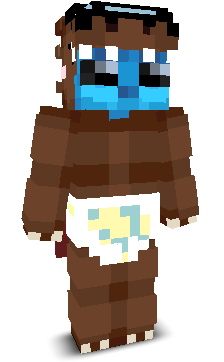 X3NPT's skin
