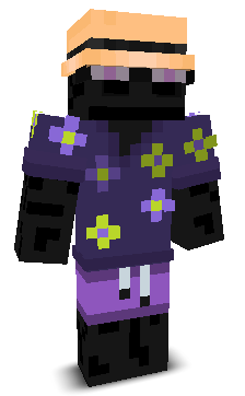 niuton30's skin
