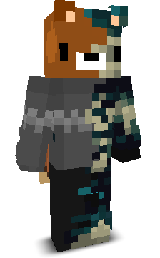S1_B3ARZ's skin