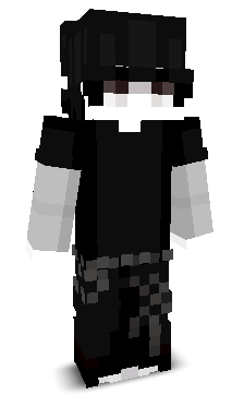 niewiem09's skin