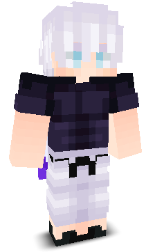 pockcrap's skin