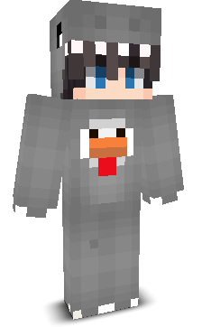 2013dd's skin