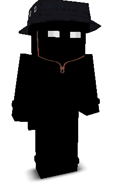 2hsd's skin