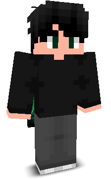 9074's skin