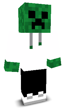 SNinja313's skin