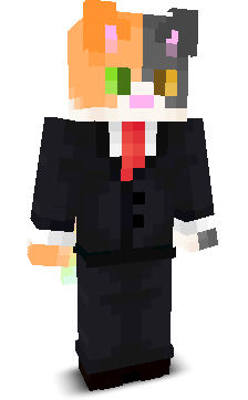 HackerCatMc's skin
