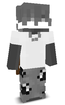 Flash21MC's skin