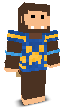 FlatWizzard's skin