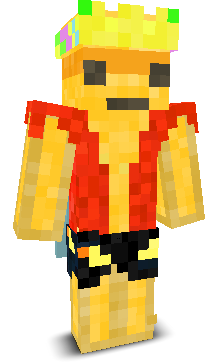 Niko557's skin