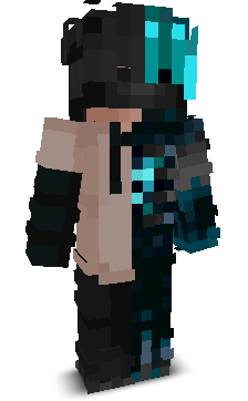V1xks's skin