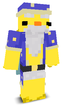 WackyWizardMC's skin