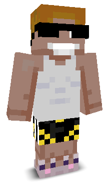 PortScan's skin