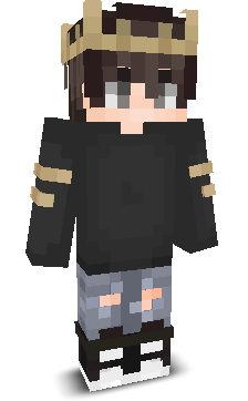 soyycraft's skin