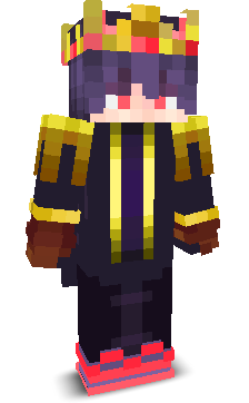 playzins's skin