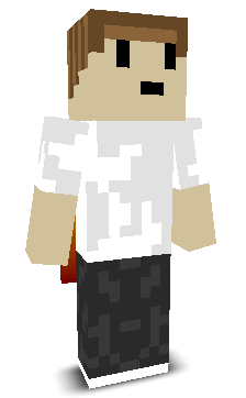 wizz1x's skin