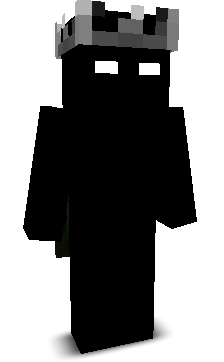 SON0X's skin