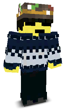 MetWizard477139's skin