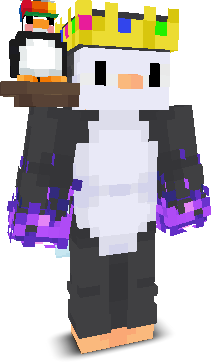 xPenguix's skin