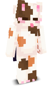 okCat's skin
